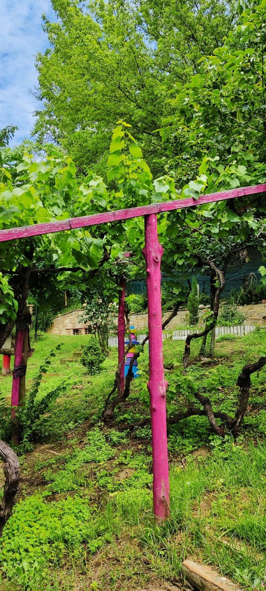 Le Rose Di Mapi Vila Mango Exterior foto