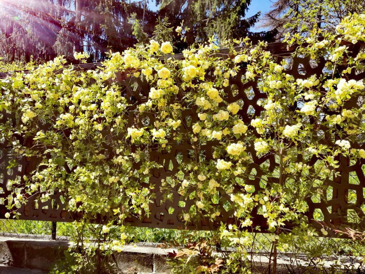 Le Rose Di Mapi Vila Mango Exterior foto